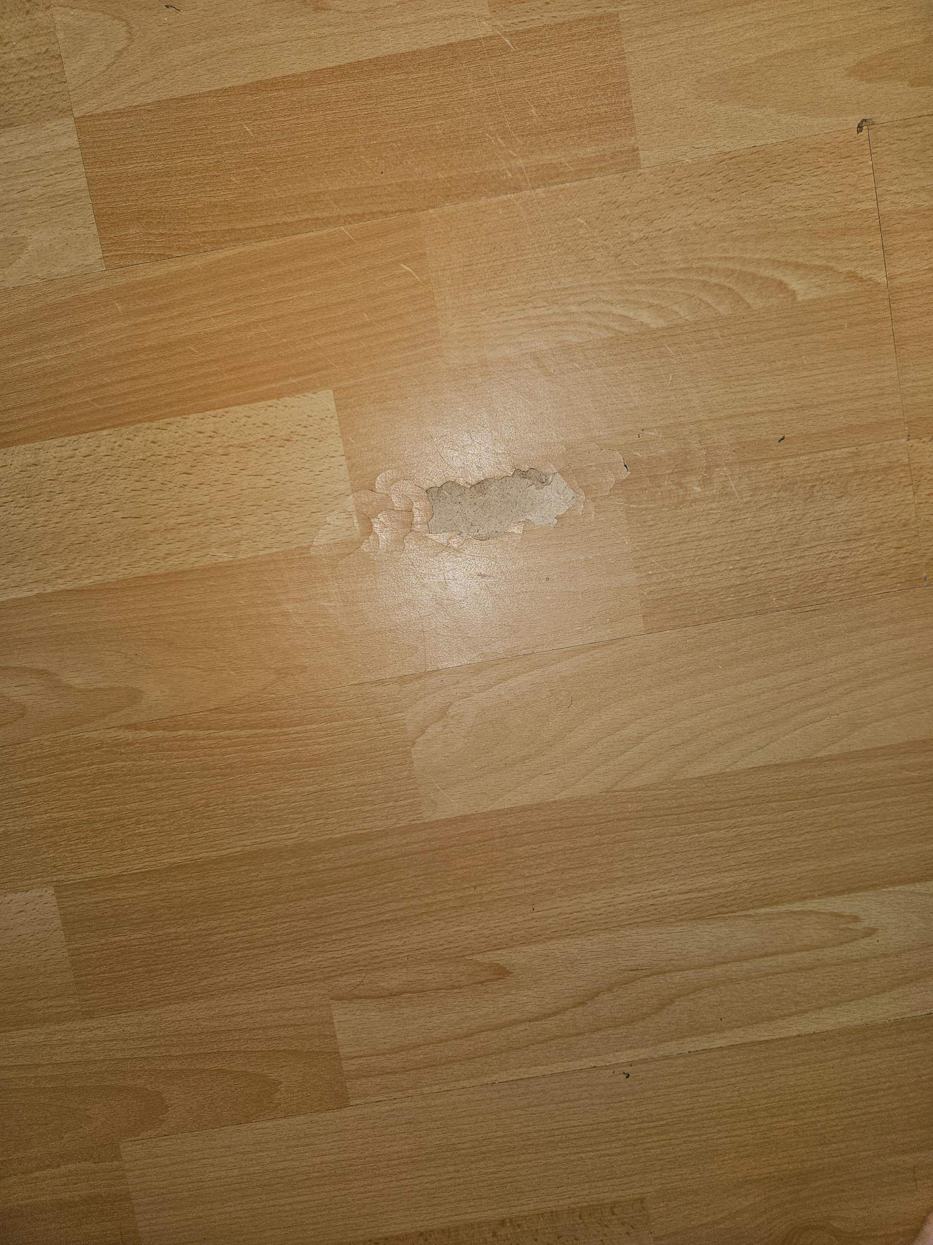 Wie Bekommt Man Laminat Wieder Glänzend Wie kann ich den Laminat Boden wieder reparieren? (Wohnung, Holz