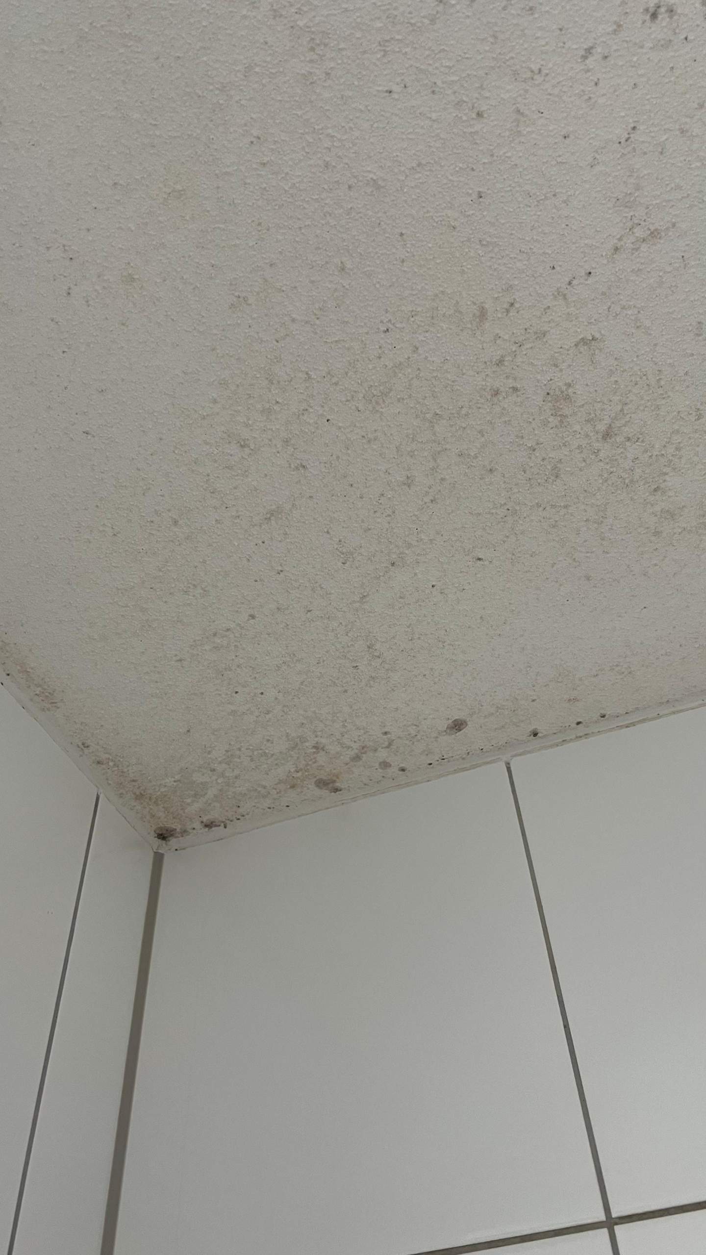 Wie kann ich diesen Schimmel am besten entfernen? (duschen, Schimmelbefall)