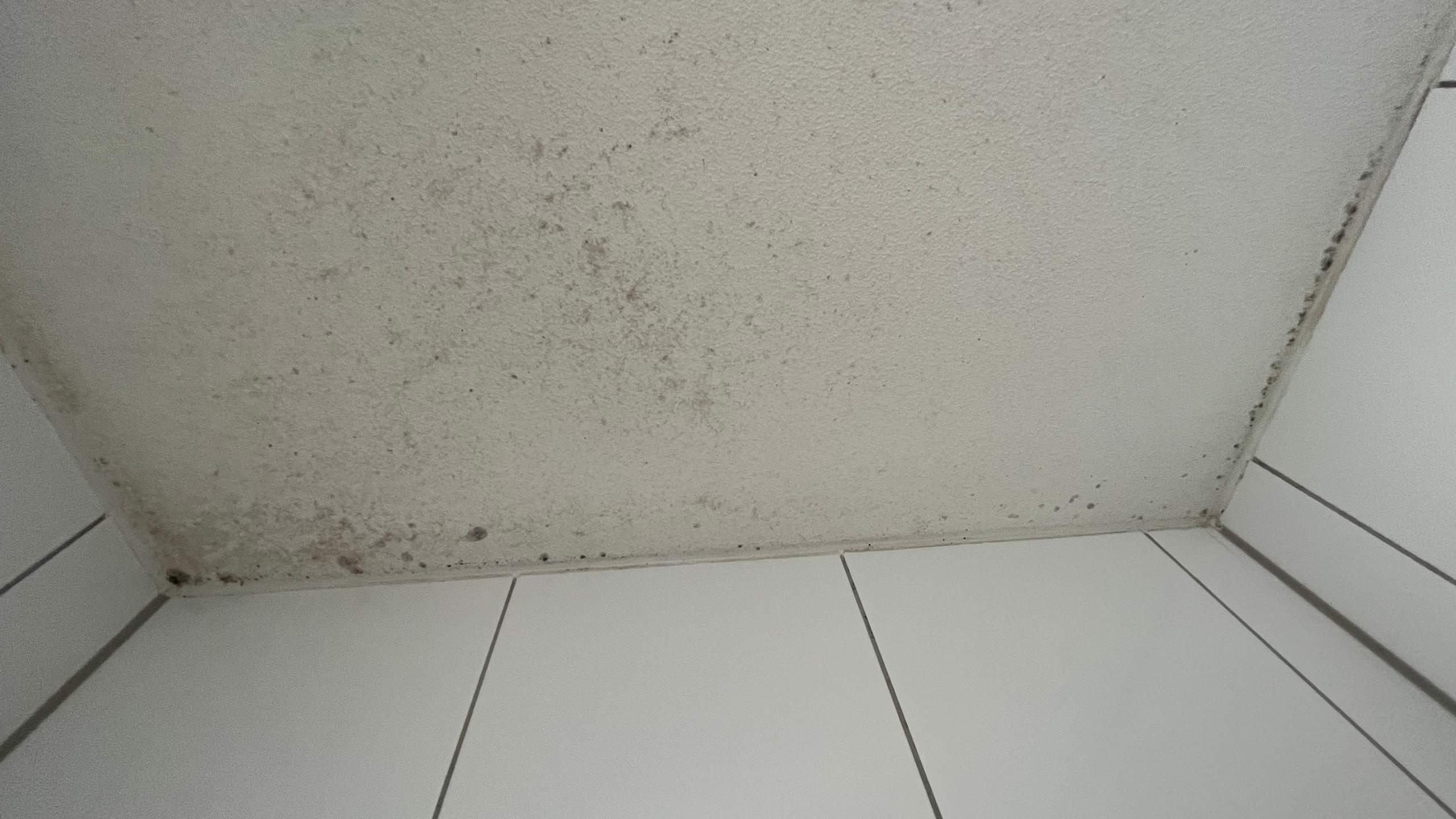 Wie kann ich diesen Schimmel am besten entfernen? (duschen, Schimmelbefall)