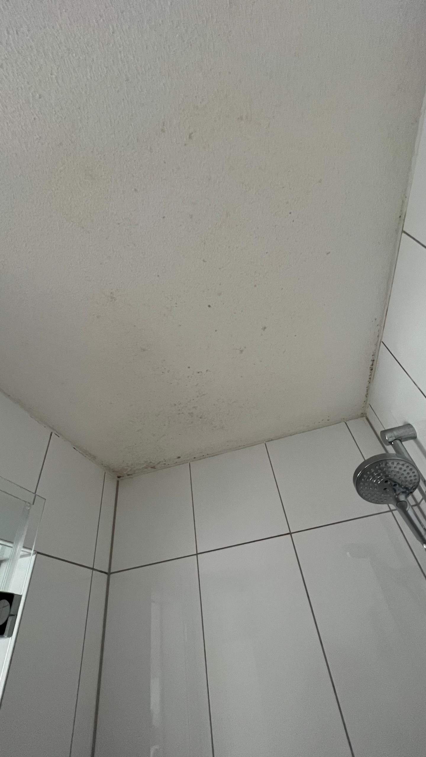 Wie kann ich diesen Schimmel am besten entfernen? (duschen, Schimmelbefall)