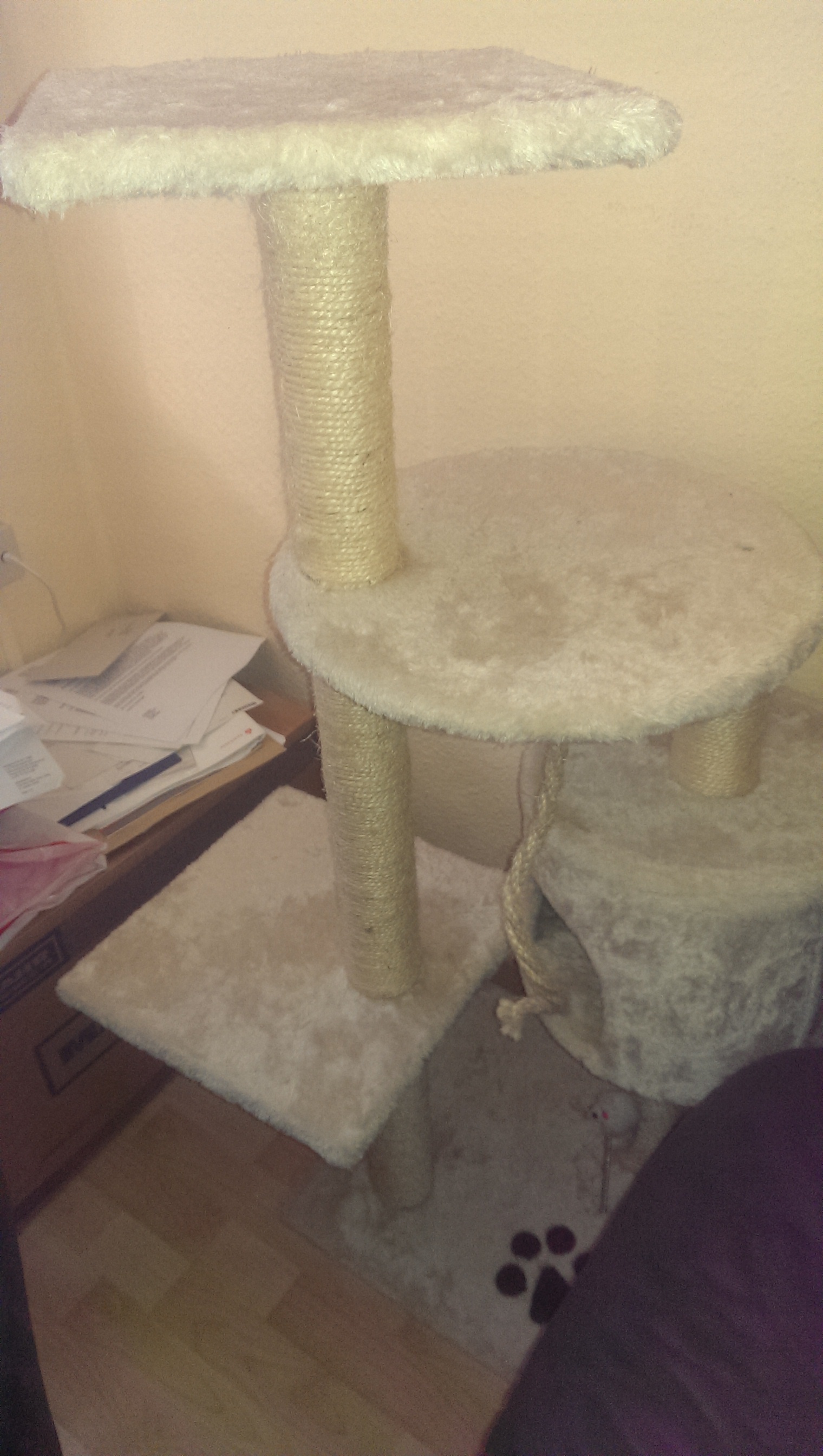 Wie Kann Ich Bilder Vom Handy Auf Laptop Ziehen