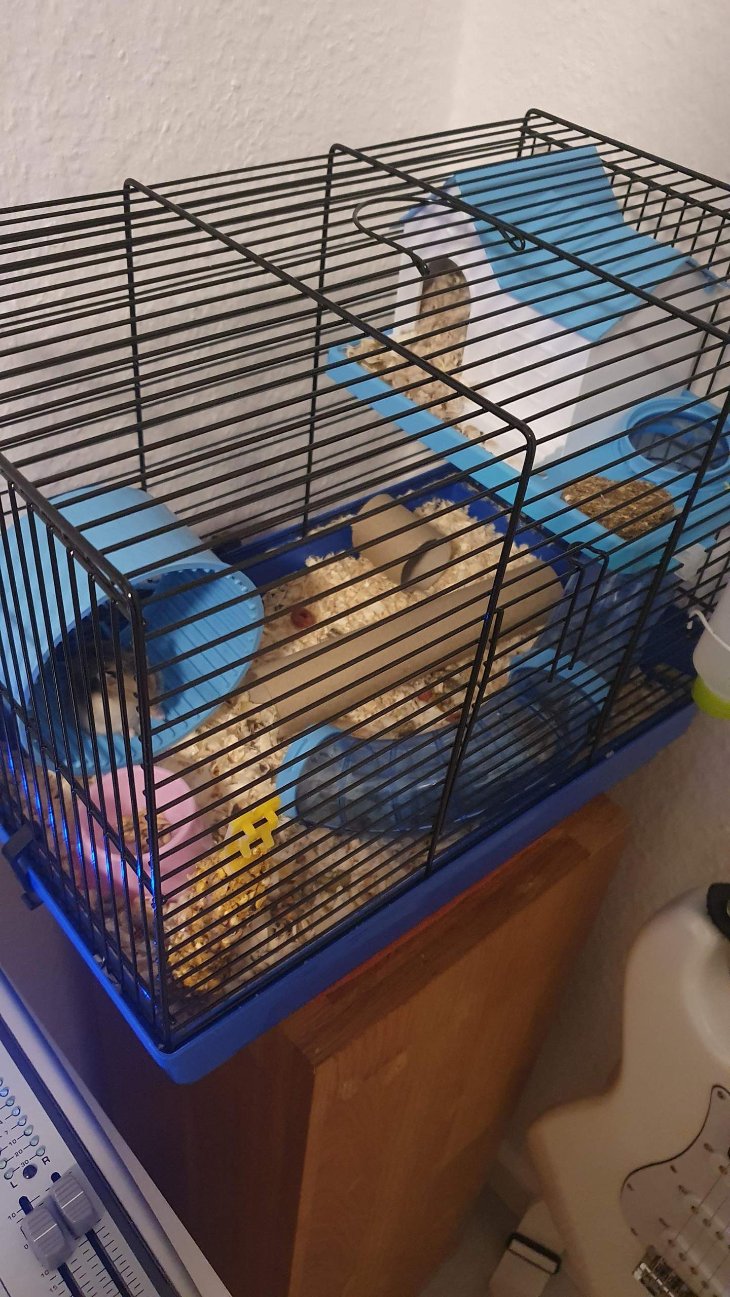 Wie kann ich mein Hamsterkäfig verbessern? (Gesundheit, Ernährung, Hamster)