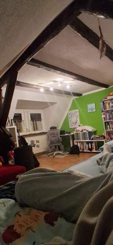 Bild zum Beitrag