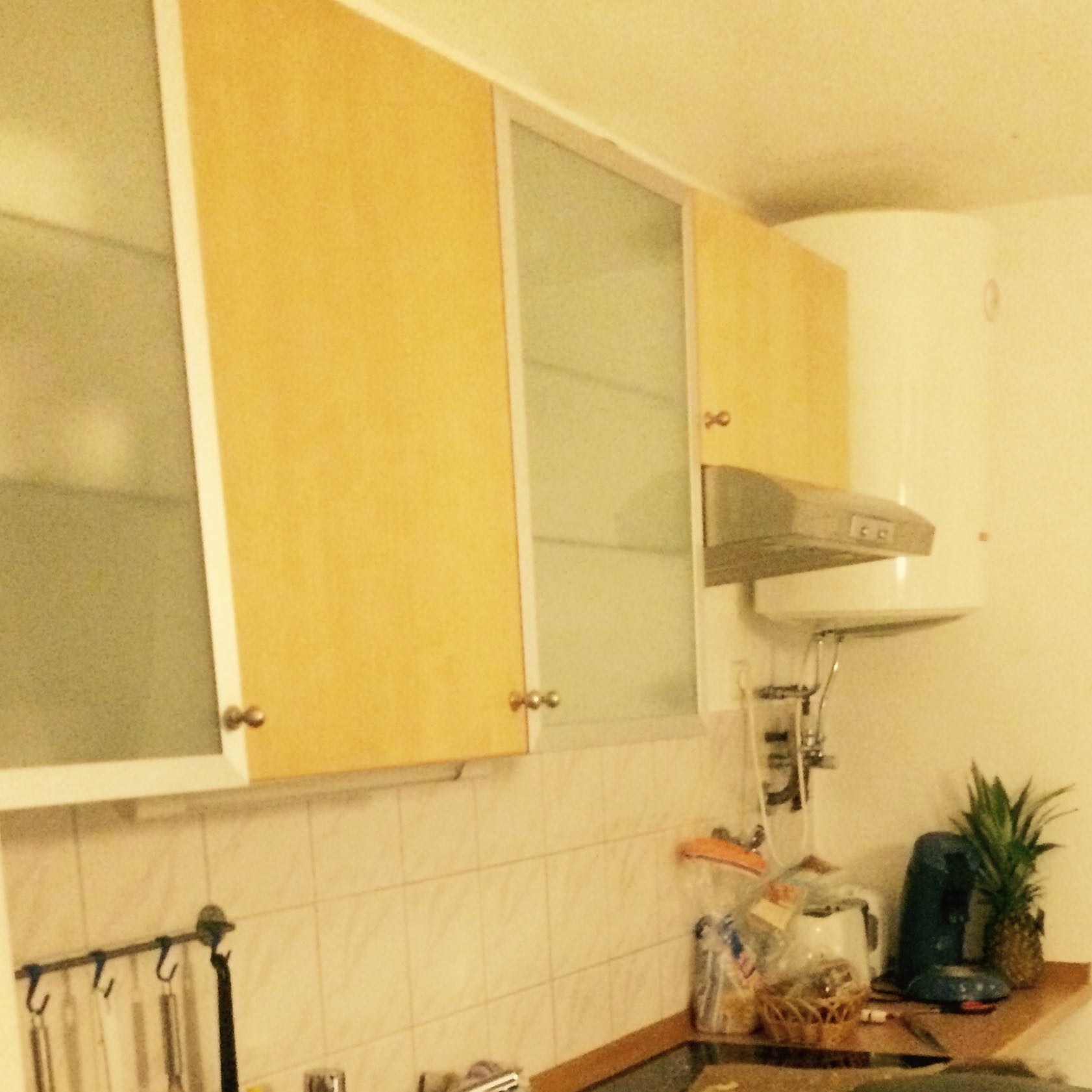 Song of Susannah (The Dark