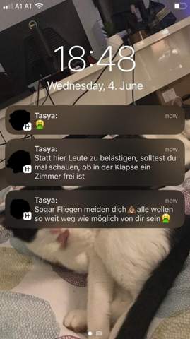 Bild zum Beitrag