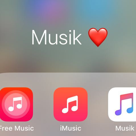 Da sind die Apps die ich benutze die aber nicht ohne Internet gehen  - (Musik, iPhone, Musik ohne internet)