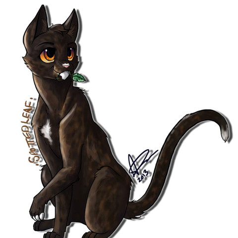 Wie Kann Ich So Zeichnen Lernen Bilder Foto Katzen