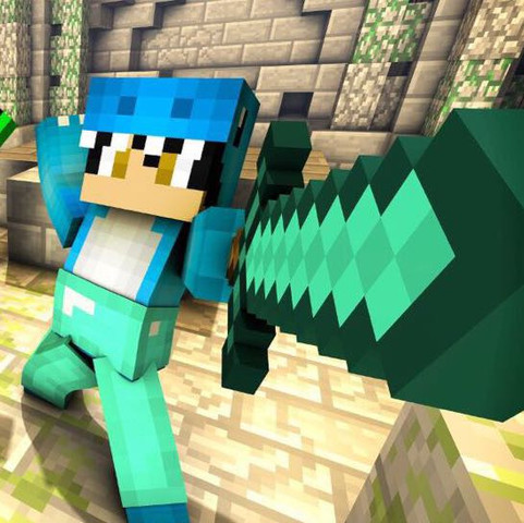- (PC, Internet, Minecraft)