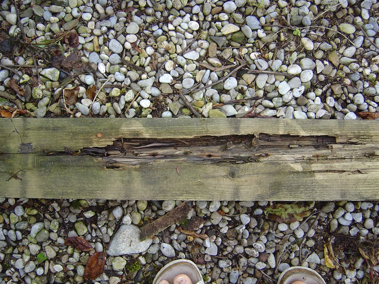 Wie kann ich stark beschädigtes Holz ausbessern? (gartenhaus, Holzboden)