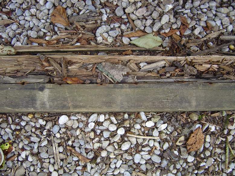 Wie kann ich stark beschädigtes Holz ausbessern? (gartenhaus, Holzboden)