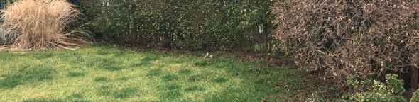 Wie Kann Ich Zaun Erhohen Erweitern Auf Vorhandenen Zaun Zaun