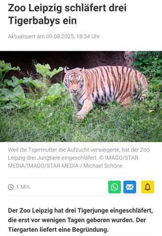 Bild zum Beitrag