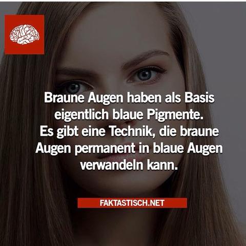 Wie Kann Man Braune Augen In Blaue Umwandeln Braun Blau Augenfarbe