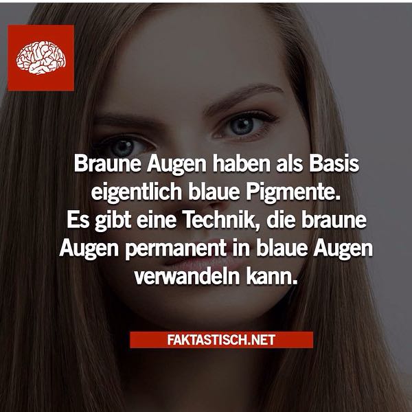 Wie Kann Man Braune Augen In Blaue Umwandeln Braun Blau Augenfarbe