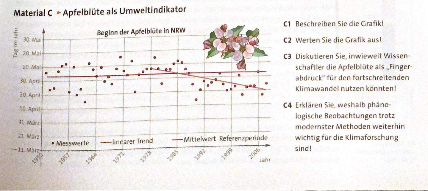Wie kann man die Grafik erläutern (Biologie)? (Umwelt, Bio,