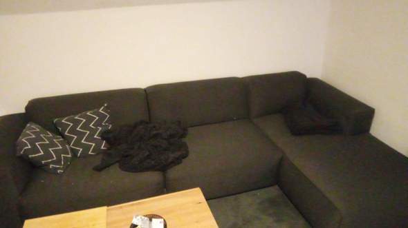 Bild zum Beitrag