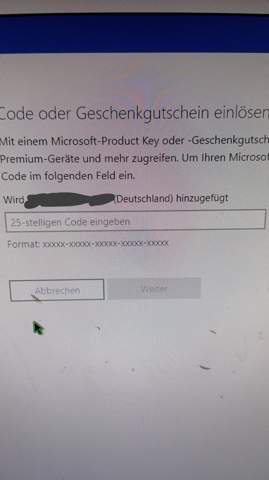 Bild zum Beitrag
