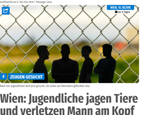 Bild zum Beitrag