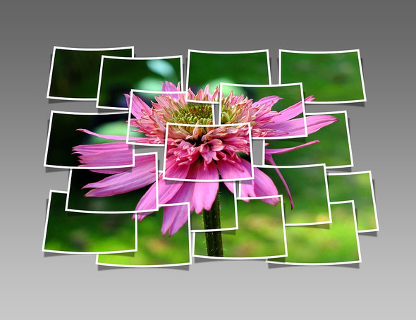 Collage - (Software, Collage)