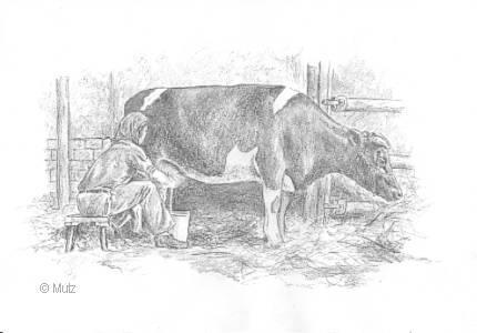 Kuh - (Kunst, zeichnen, Künstler)