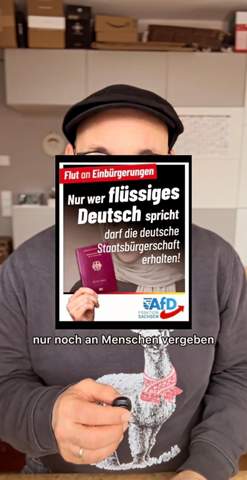 Bild zum Beitrag