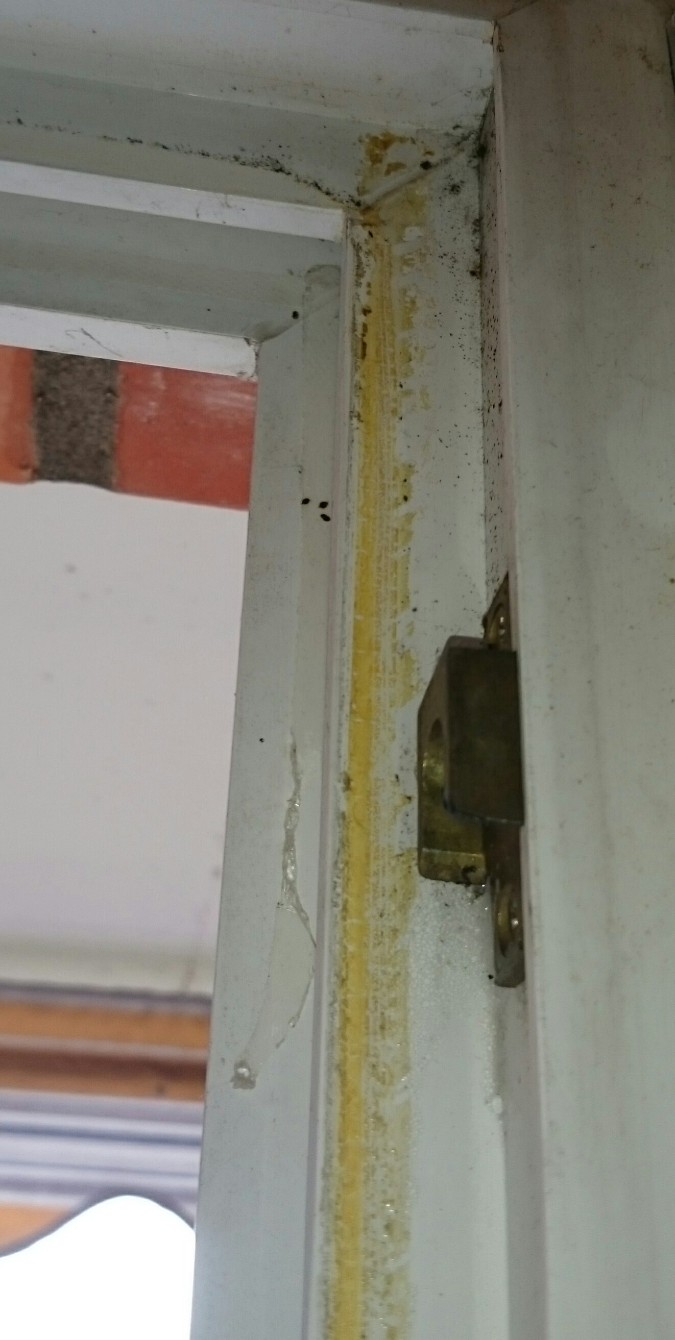 klebereste vom fenster entfernen