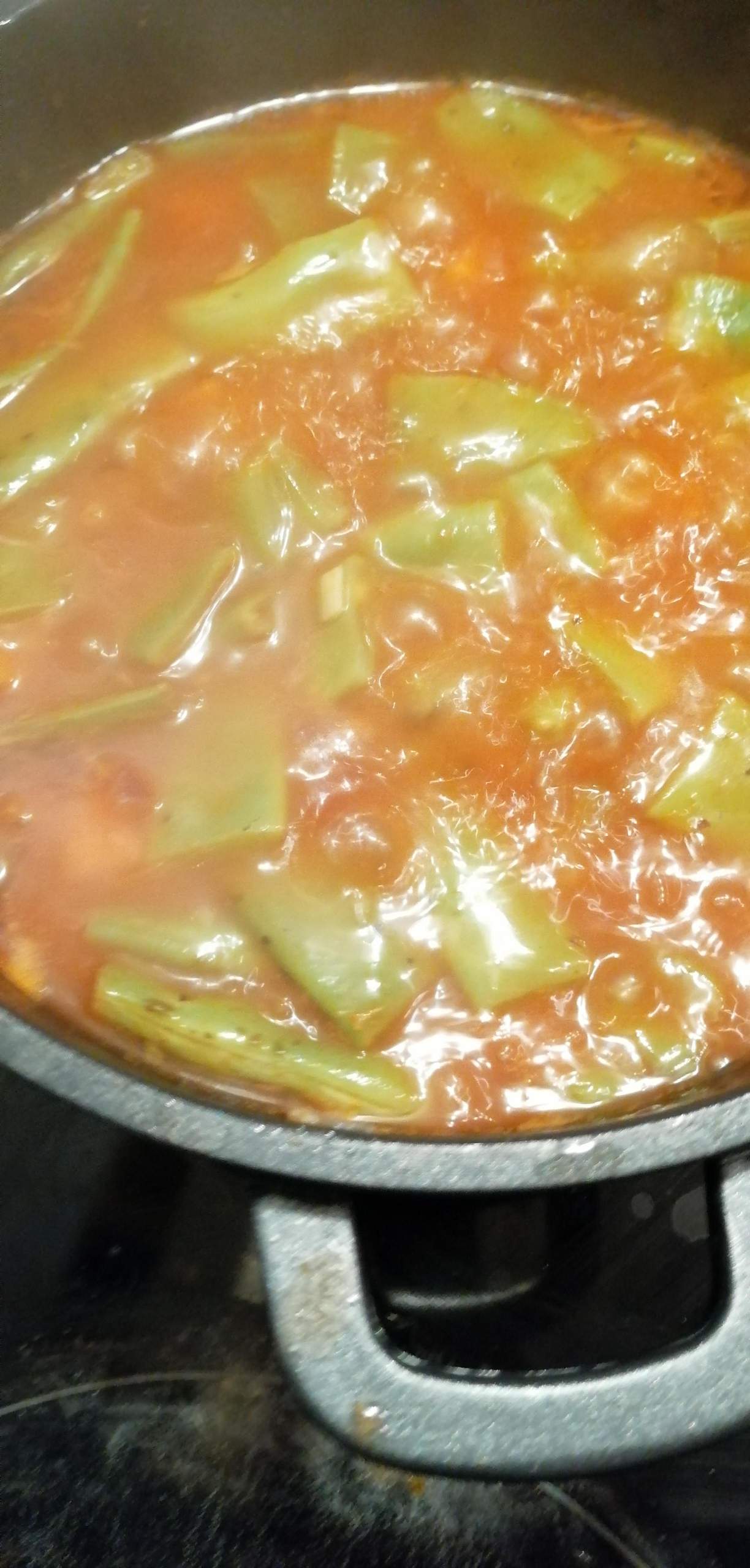 Wie kocht ihr eure (grünen) Bohnen, im Schnellkochtopf o. Kochtopf ... Wie kocht ihr eure (grünen) Bohnen, im Schnellkochtopf o. Kochtopf ...