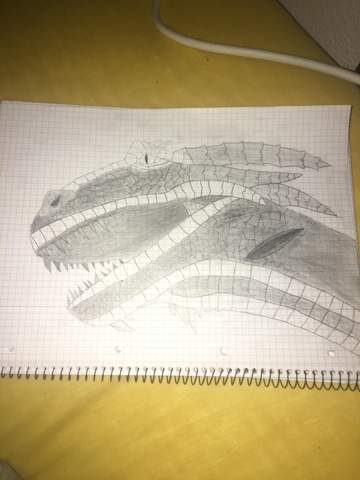 Wie könnte ich besser zeichnen? (Kunst)