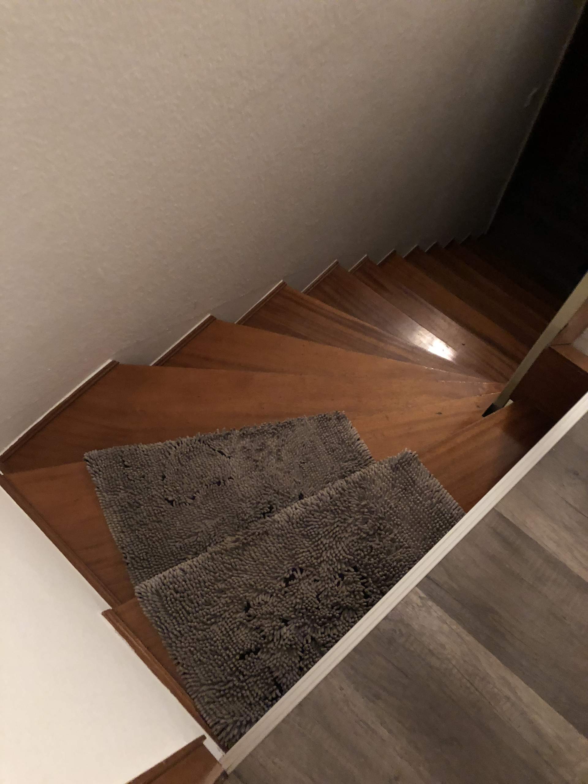 Wie kommt mein Hund wieder die Treppe herunter?