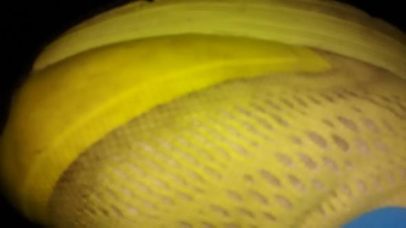 Bild 2 - (Schuhe, putzen, teuer)