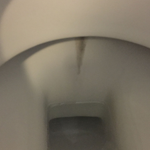 Wie kriege ich diese Ablagerungen in der Toilette weg?
