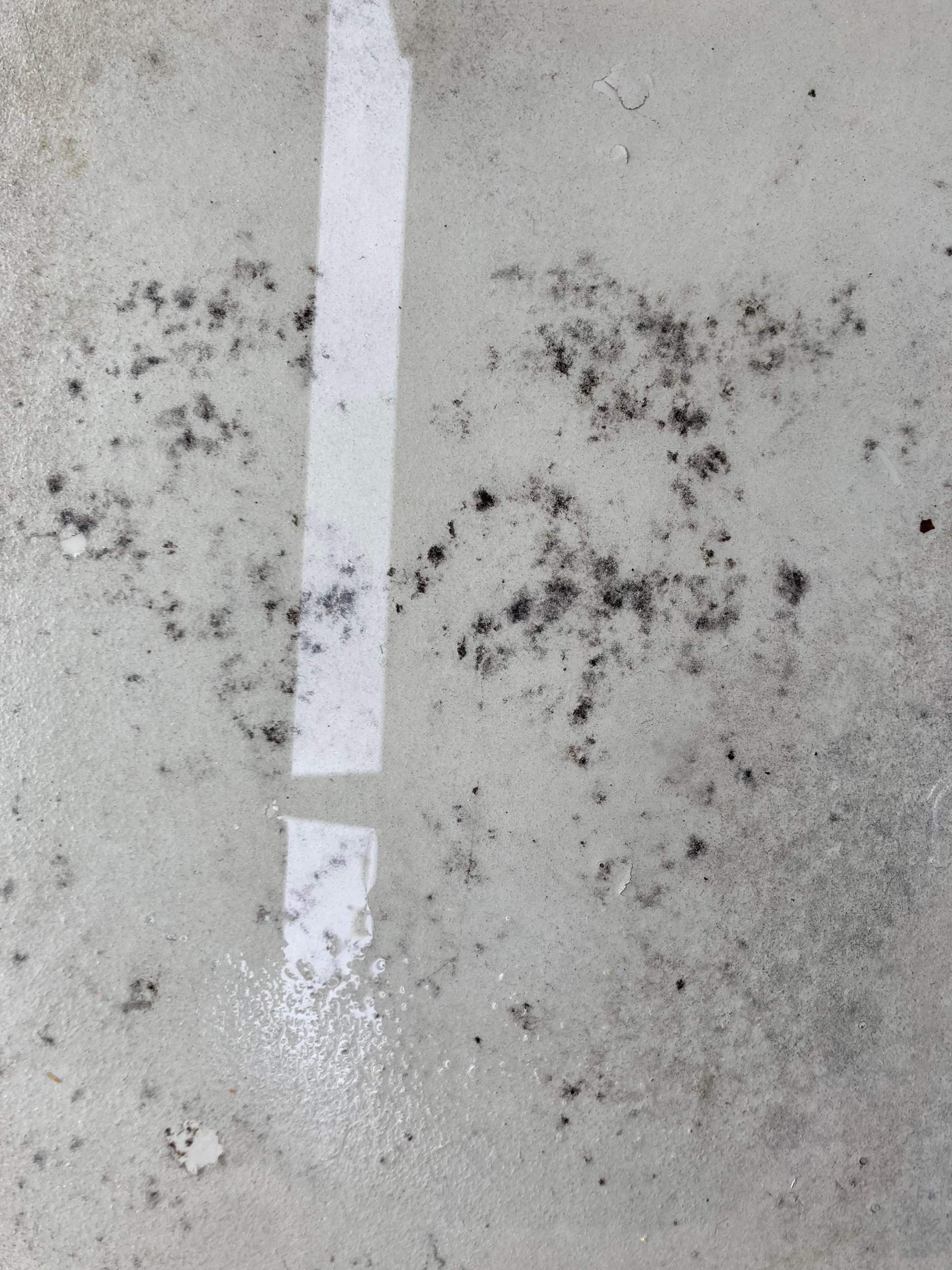 Wie kriegt man Schimmel aus Beton raus? (Balkon, Messie)