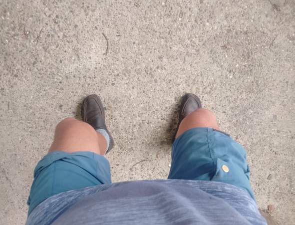 Bild zum Beitrag