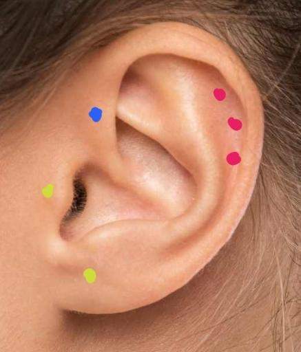 Wie Lange Braucht Ein Helix Zum Verheilen