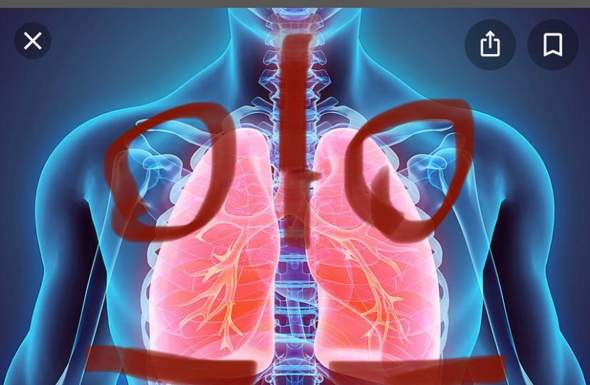 Wie Lange Bis Gesundheit Und Medizin Krankheit Sterben Wie Lange Bis Gesundheit Und Medizin Krankheit Sterben