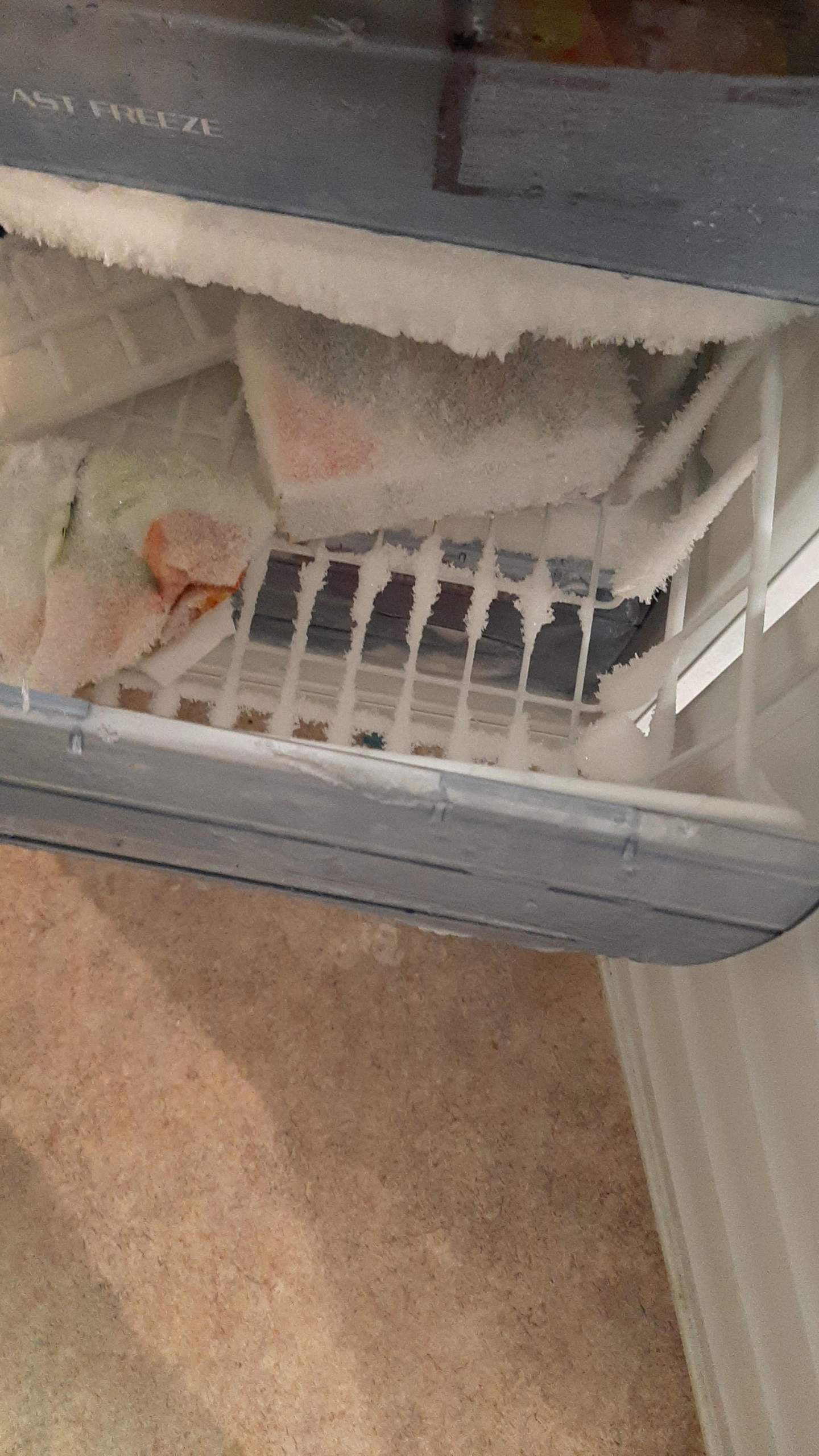 Wie lange kann ich das Essen noch essen? (Gefrierschrank)