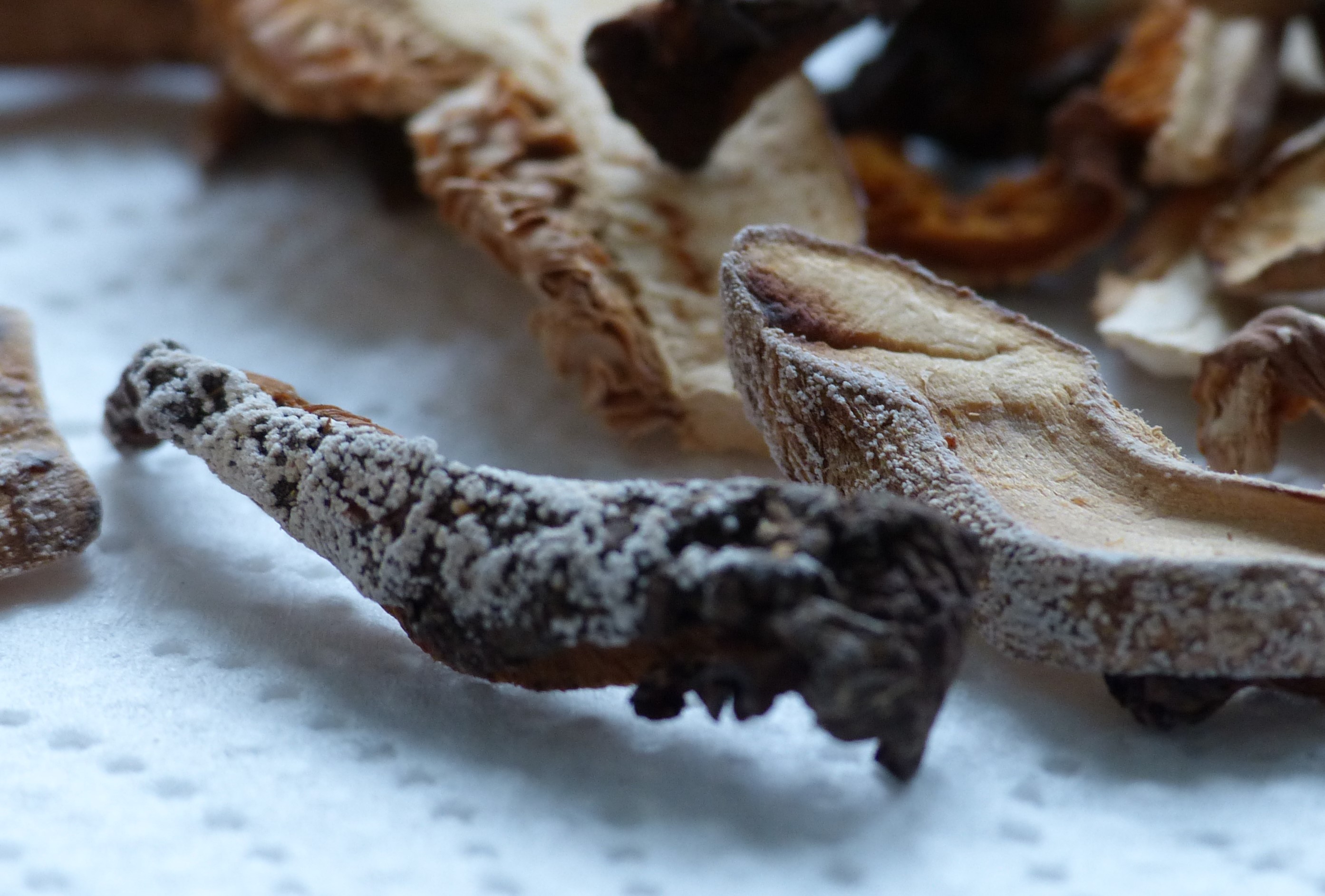 Wie lange sind getrocknete Pilze haltbar? Woran sieht man, ob sie schimmlig oder noch in Ordnung ...