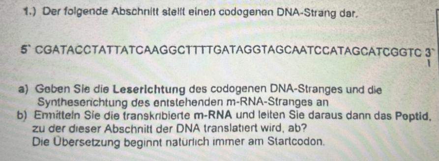 Wie lese ich hier den codogenen Strang ab? (Biologie, Genetik, DNA)