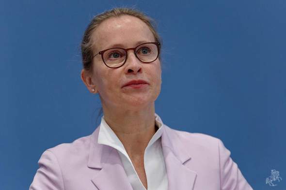 Bild zum Beitrag