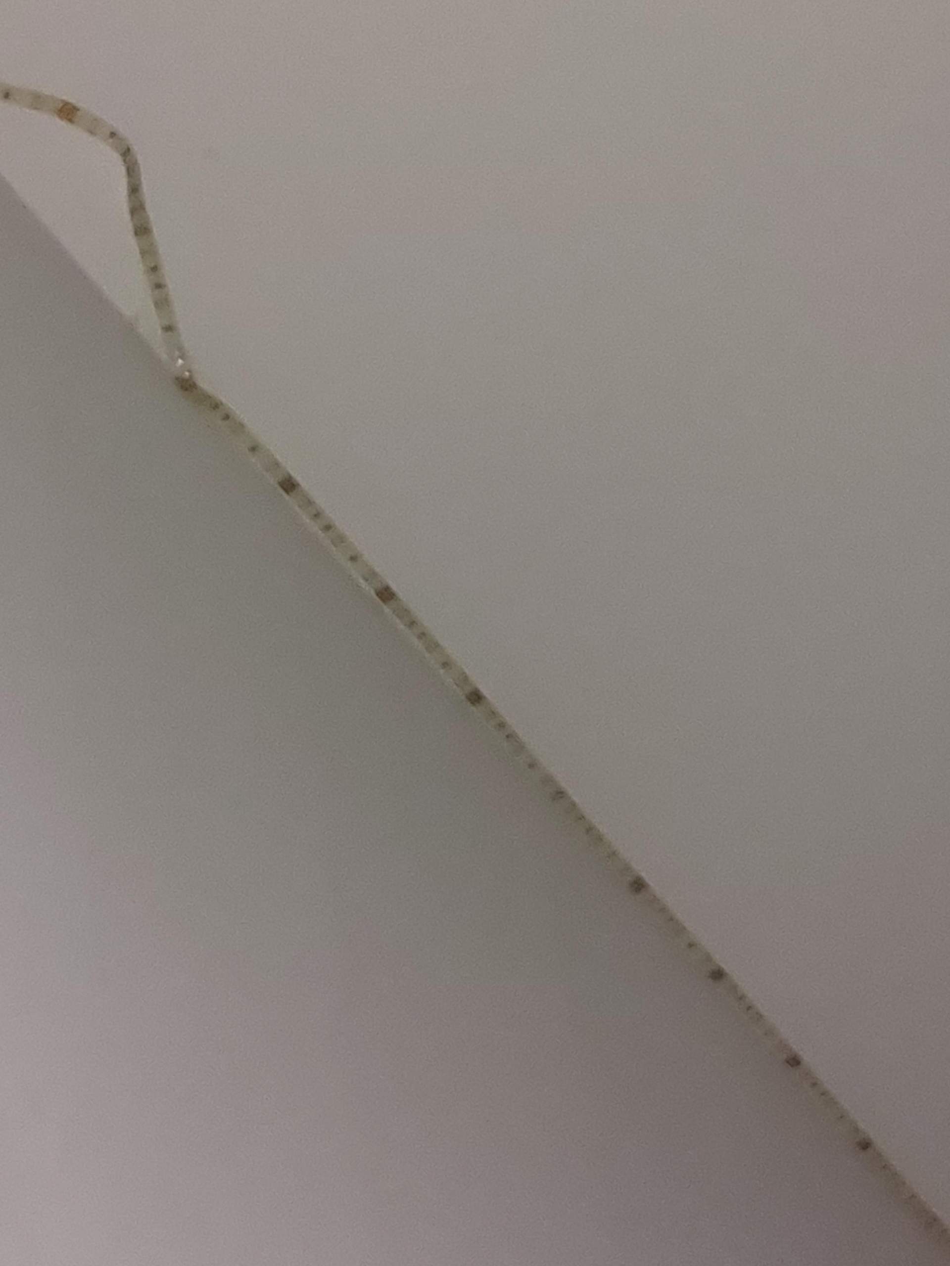 Styroporkleber entfernen - So lösen Sie die Reste von Wand & Decke 