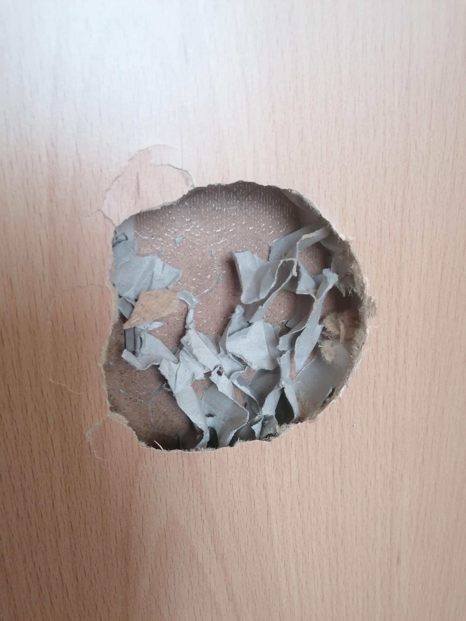 wie Loch in Tür reparieren? (Haushalt, Reparatur, Handwerk)