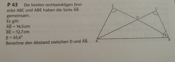Hier die Aufgabenstellung - (Schule, Mathematik, Test)