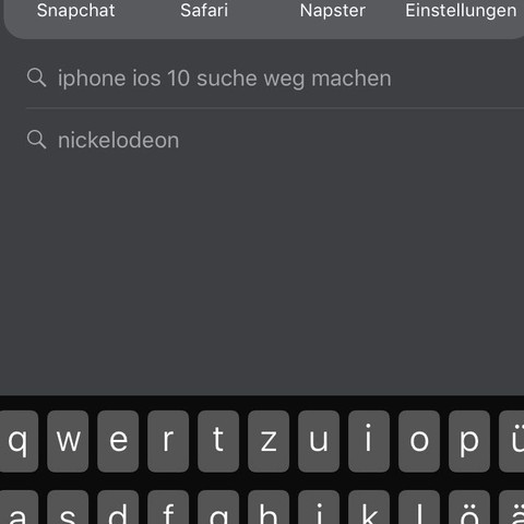 Das meine ich, wo die Lupe ist - (Handy, iPhone, Einstellungen)