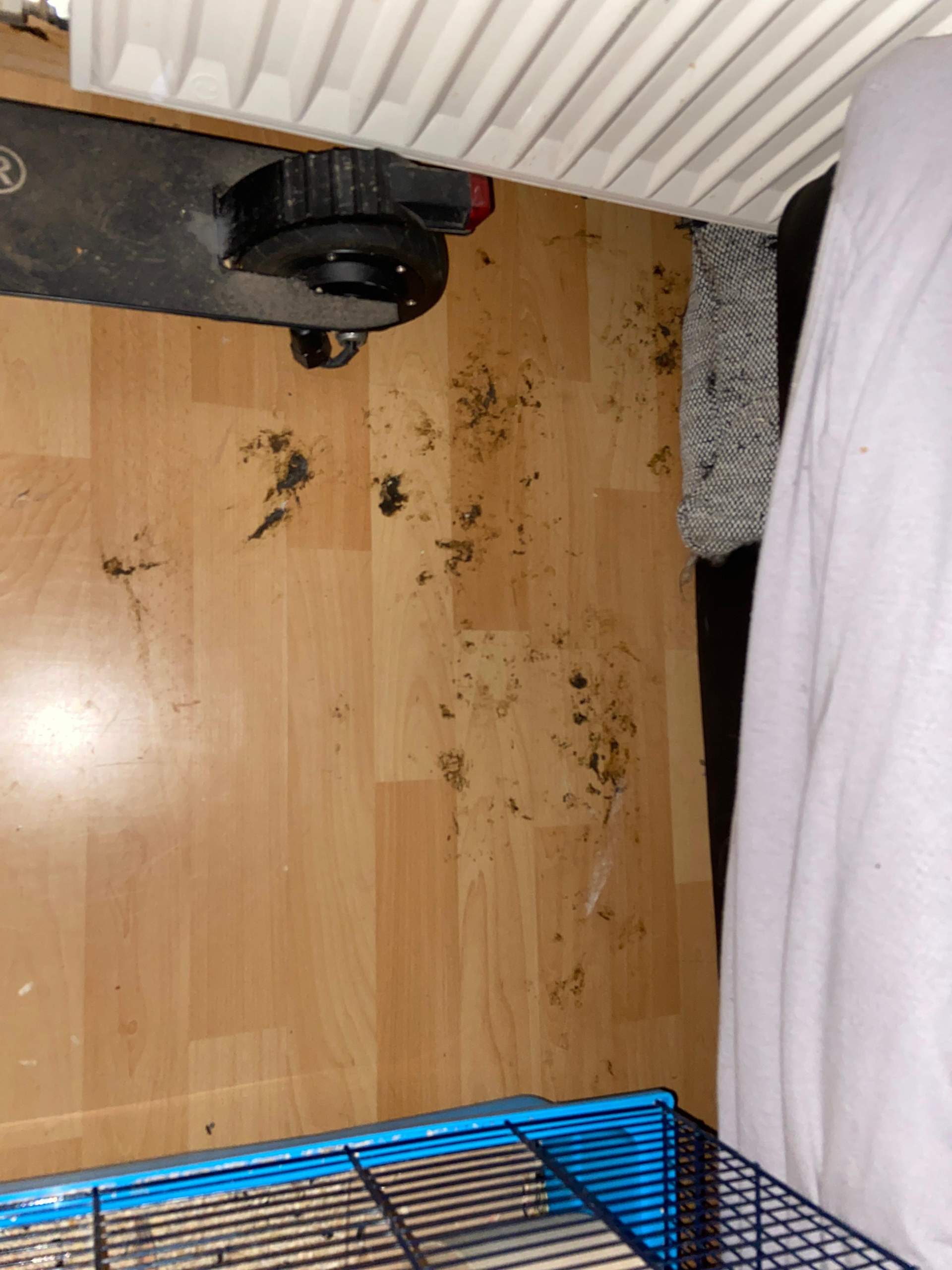 Wie macht ihr das mit Euren Kaninchen? (Tiere, Haustiere, Kleintiere) Wie macht ihr das mit Euren Kaninchen? (Tiere, Haustiere, Kleintiere)