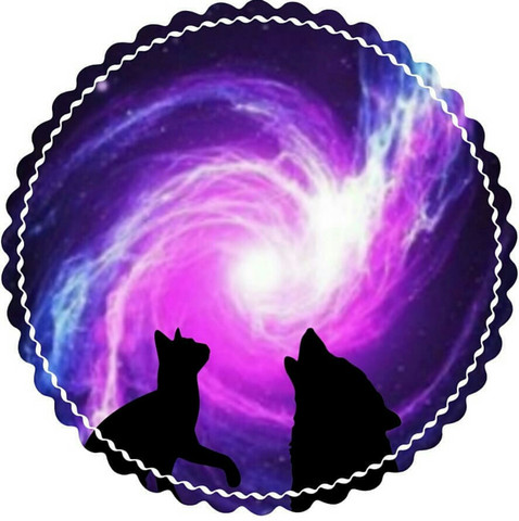 schöne profilbilder