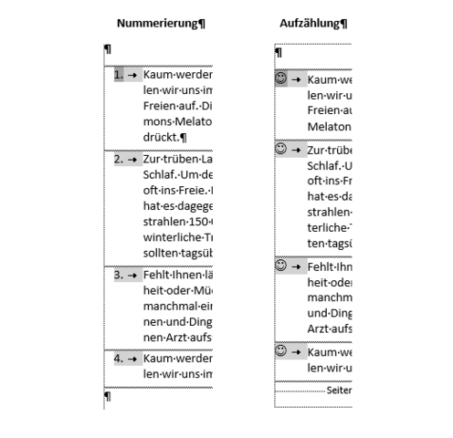 - (Computer, PC, Programm)
