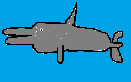 Wie Malt Man Einen Delfin Gut Kunst Zeichnen Malen