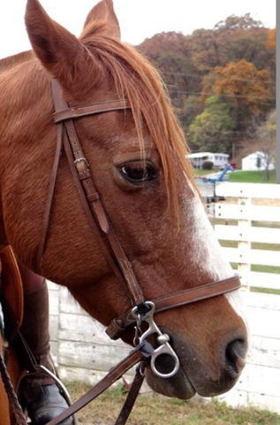 Möglicherweise englisch Möglicherweise englisch