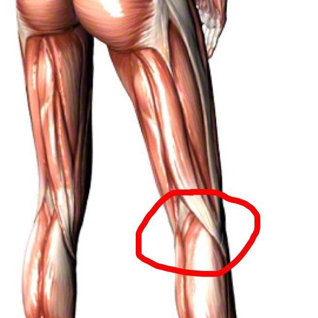 Wie nennt man den Bereich hinter dem Knie? (Gesundheit, Menschen, Arzt)