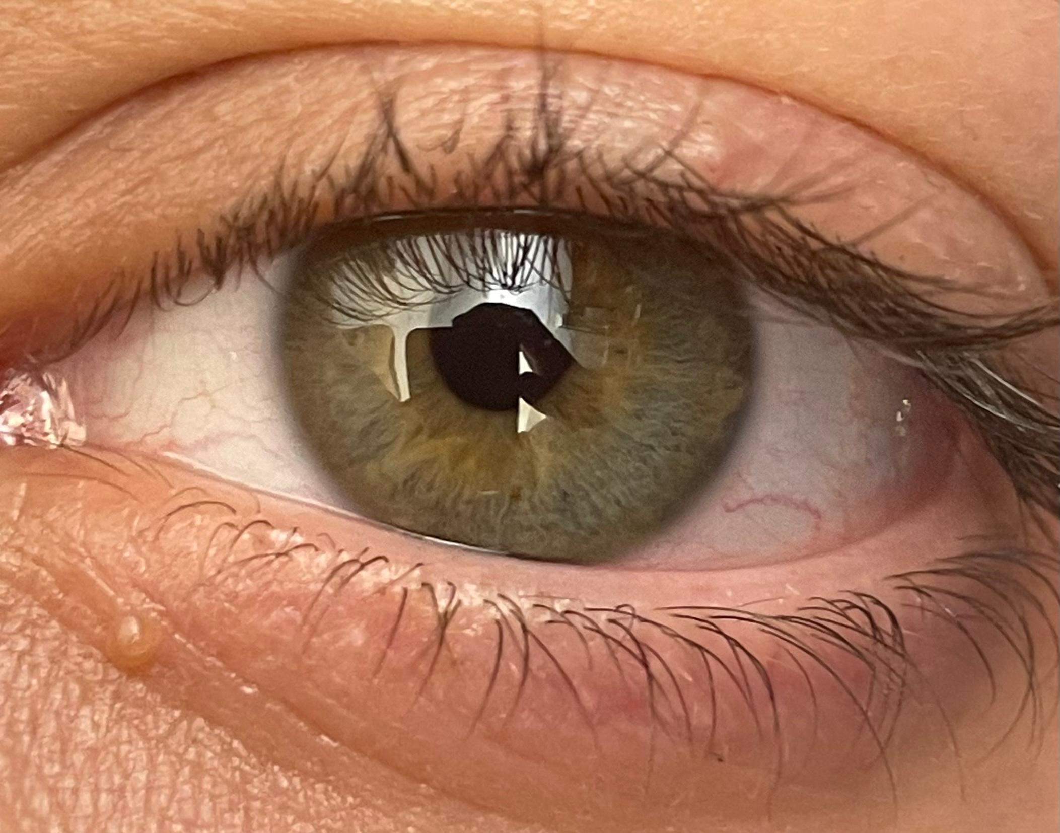 Wie nennt man denn meine Augenfarbe? (Augen) Wie nennt man denn meine Augenfarbe? (Augen)